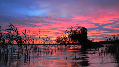 morgenrood