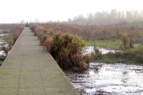 oostersebekadegorzen