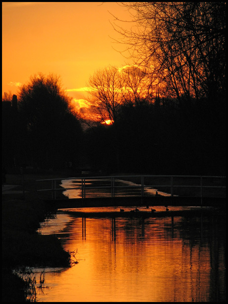 Delftse Hout Winterse zonsondergang 2