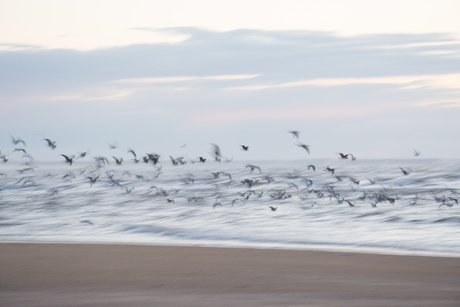 abstract op het strand