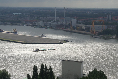 De Maas vanaf de Euromast