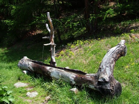 Drinkbak in de bergen