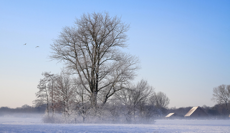 Landgoed Haarzuilens, Natuurmonumenten