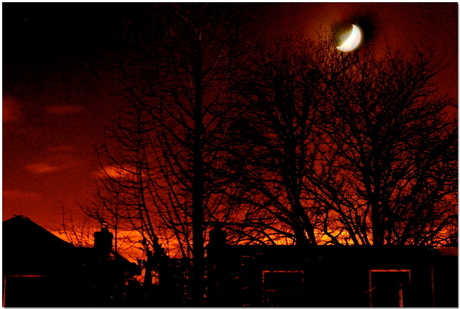 See the moon shines..