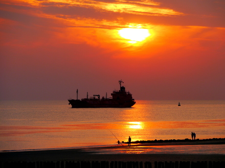 Schip over de Westerschelde