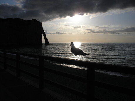 Etretat, zonsondergang