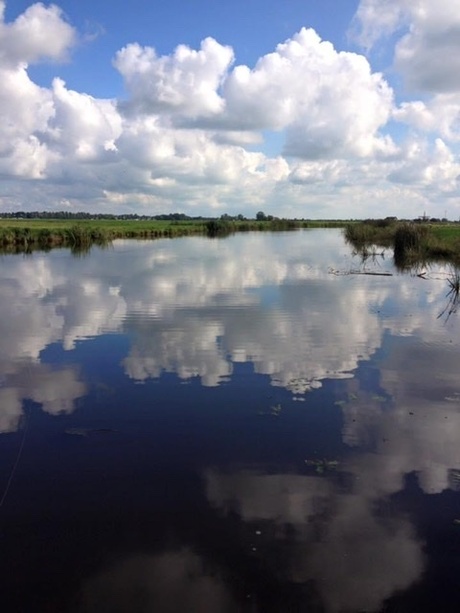 Wolken