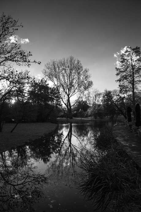 Vondelpark in November