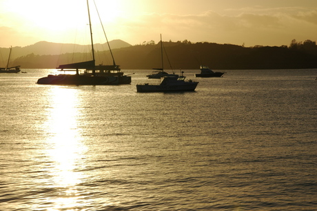 Zonsopgang Bay of Islands