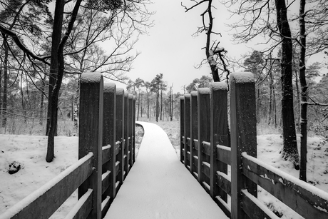 Zoom - Winter Wedstrijd - Maagdelijk Sneeuw Pad Twickel-1