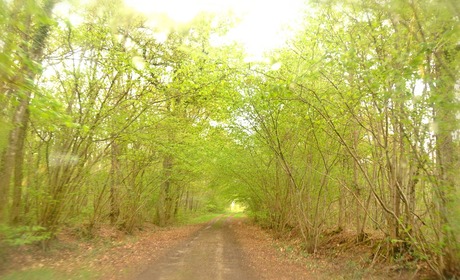 Green Street