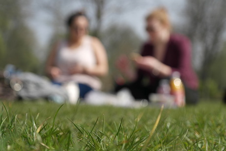 Picknick!