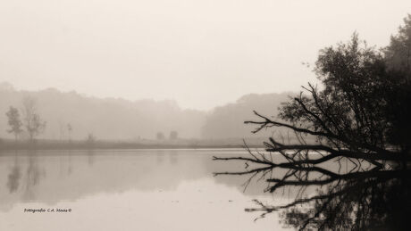 Mystical call of the lake