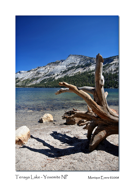 Tenaya Lake Yosemite NP