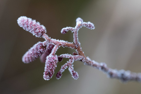 Wintertijd