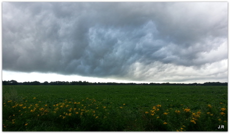 zomerluchten 3