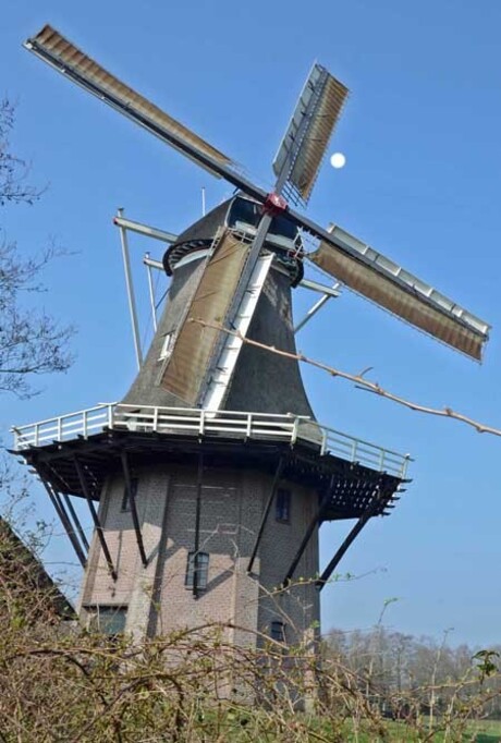 Molen de Star