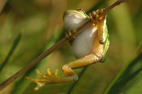 Hanging on