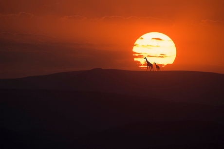 Sunset in Afrika