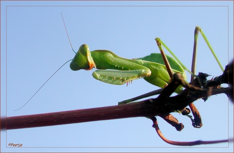 Hoog en droog....