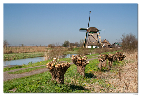 Molen De Onrust