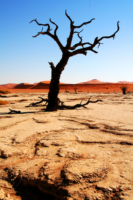 Namibia