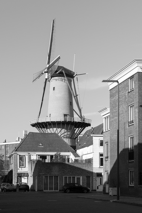 Molen De Kameel, Schiedam