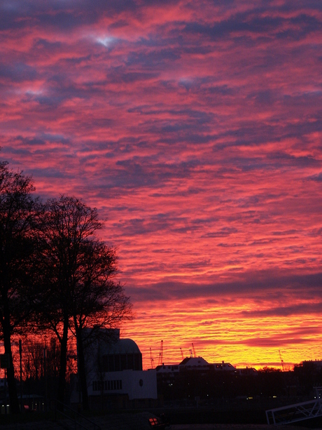 avondrood Rdam