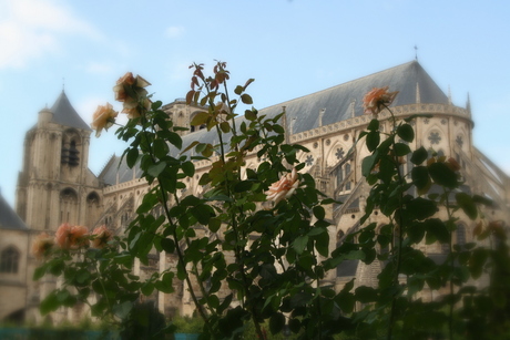 KathedraaL van Bourges (Frankrijk)