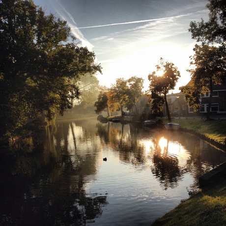 Zomermorgen