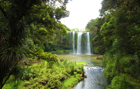Whangarei Falls, Nieuw Zeeland