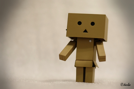 danbo