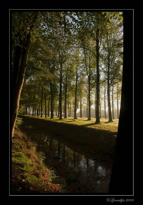 Baarnse Bos