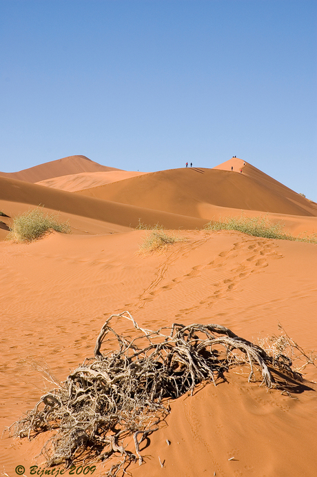 Namibwoestijn