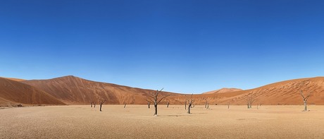 Sossusvlei Panorama