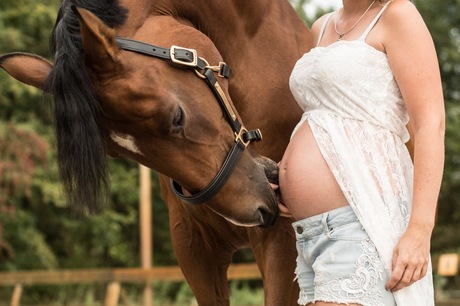 Zwangerschap met paard Coll