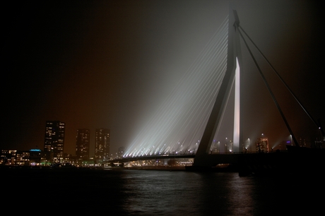 Erasmusbrug Rotterdam in de nacht