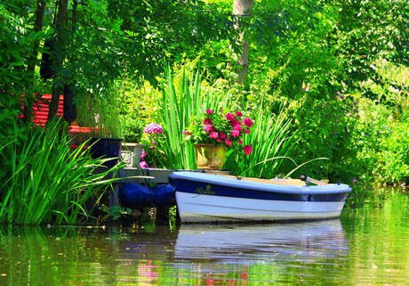 Waiting for the mooring