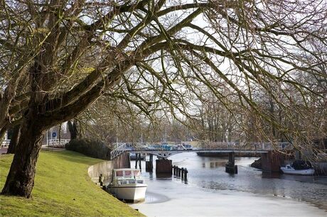 Dokkum