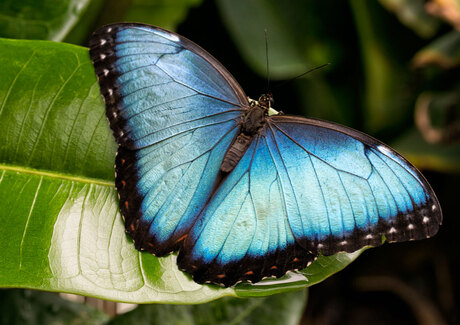 20130726-Utrecht-Botanische-tuin_S0A0006-WEB.jpg