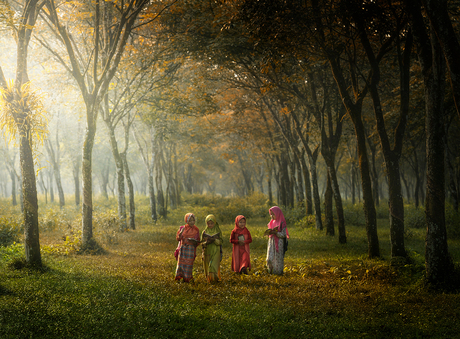 Children In The Forest