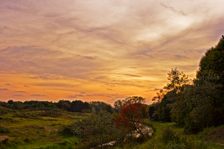 herfst in de duinen