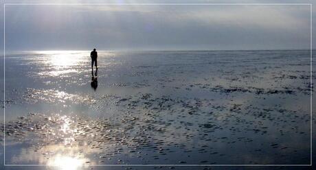 Eenzaam op het wad