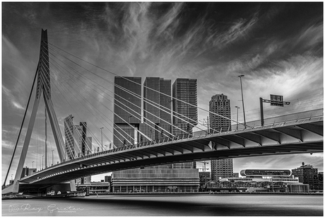 Erasmusbrug over de Nieuwe Maas