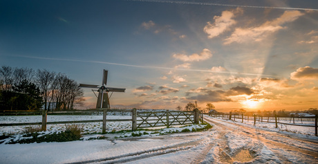 Hollands landschap 2