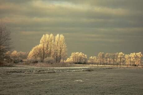 Winter in Drenthe