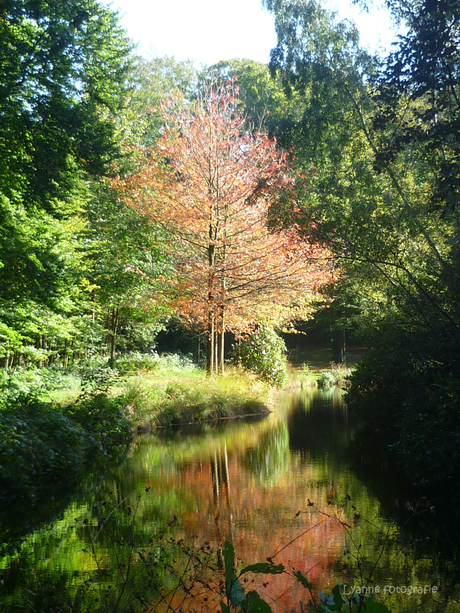 de herfst is in aantocht!