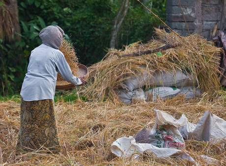 Balinese vrouw