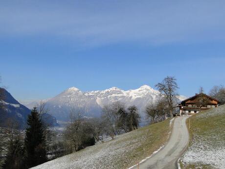 Hart in het Zillertal, Alpen Tirol