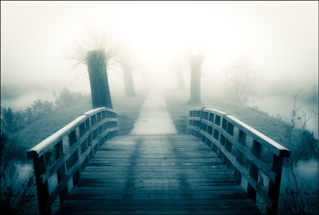 Bridge into the mist